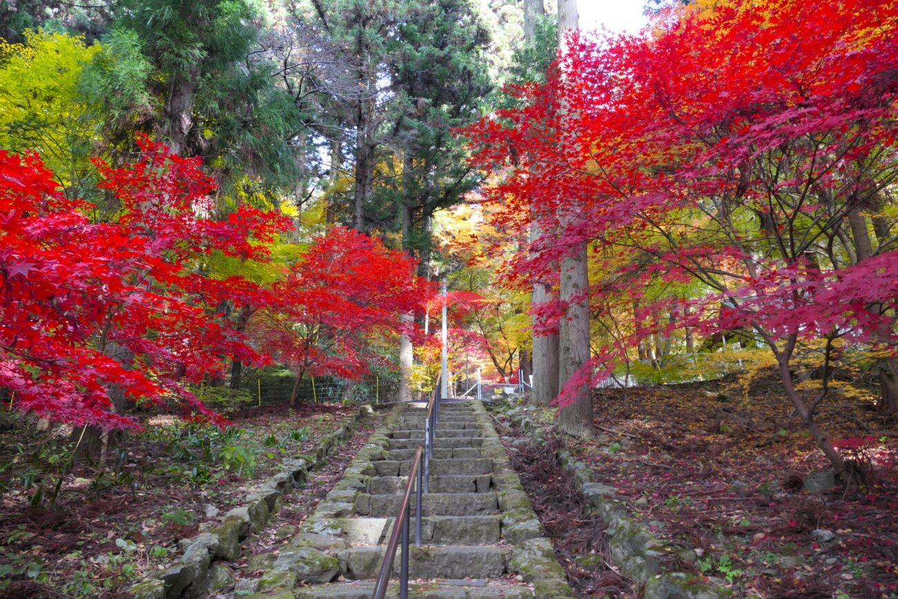 長野市 阿弥陀山 清水寺