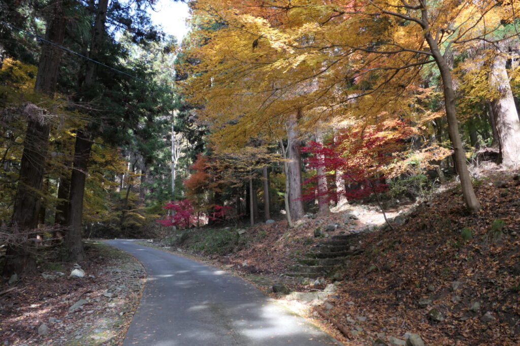 長野市 阿弥陀山 清水寺 観音堂への道