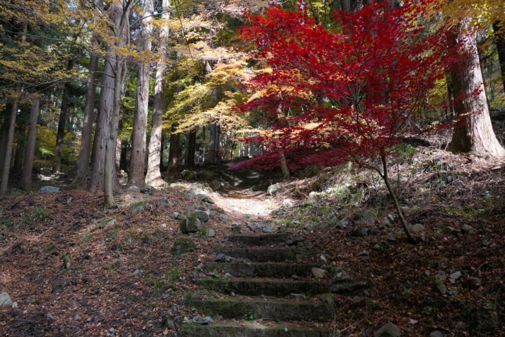 長野市 阿弥陀山 清水寺 観音堂への道