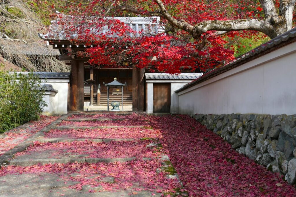 長野市 阿弥陀山 清水寺 境内
