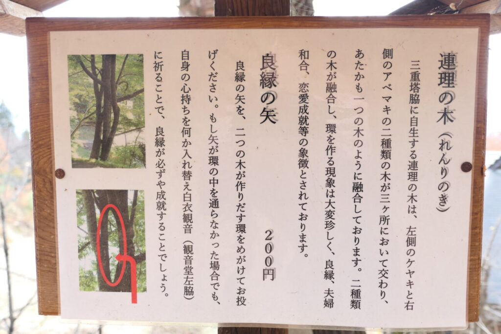 青木村 大法寺 連理の木