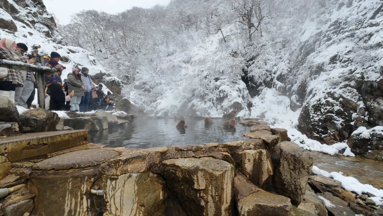地獄谷野猿公苑 jigokudani-yaen-koen 温泉