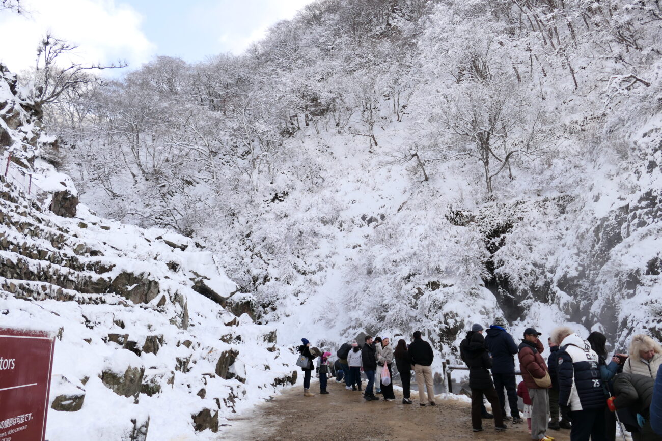 地獄谷野猿公苑 jigokudani-yaen-koen 苑内