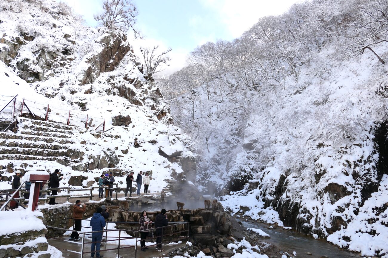 地獄谷野猿公苑 jigokudani-yaen-koen 苑内