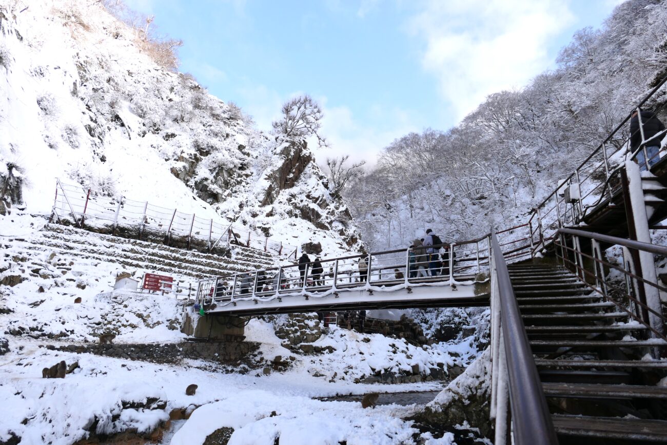 地獄谷野猿公苑 jigokudani-yaen-koen 苑内