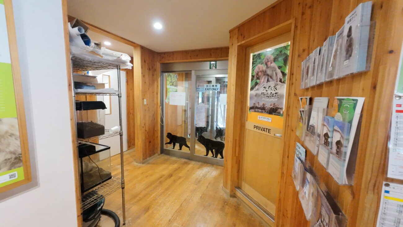 地獄谷野猿公苑 jigokudani-yaen-koen 帰り道