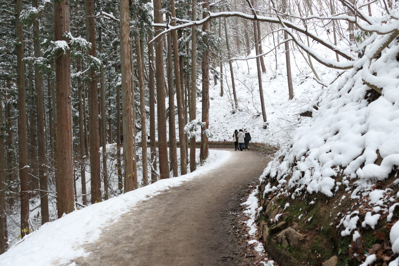 地獄谷野猿公苑 jigokudani-yaen-koen 入口までの道