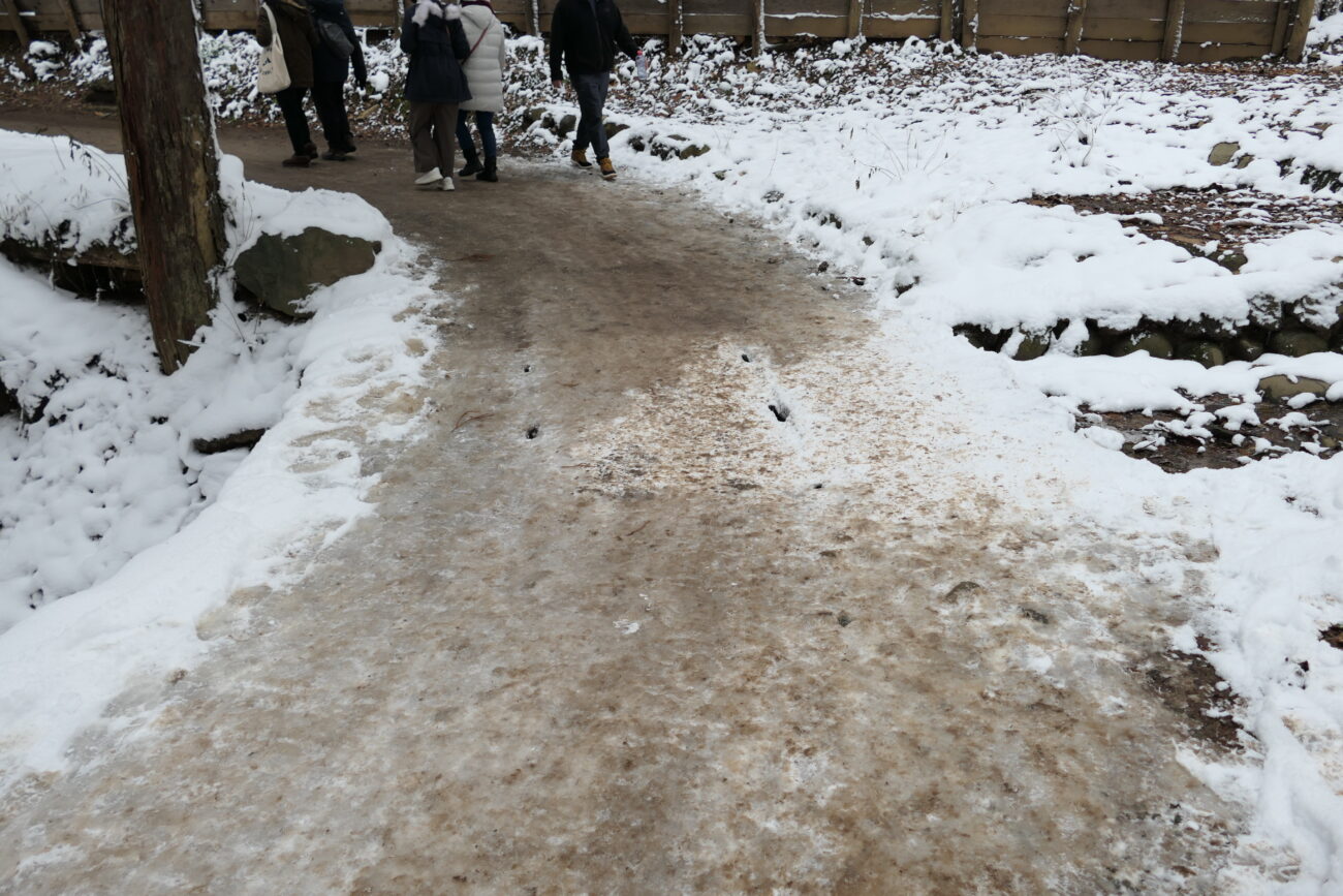 地獄谷野猿公苑 jigokudani-yaen-koen ツルツルの道