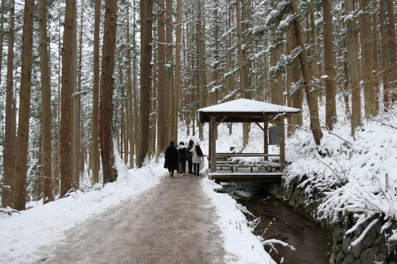 地獄谷野猿公苑 jigokudani-yaen-koen 入口までの道