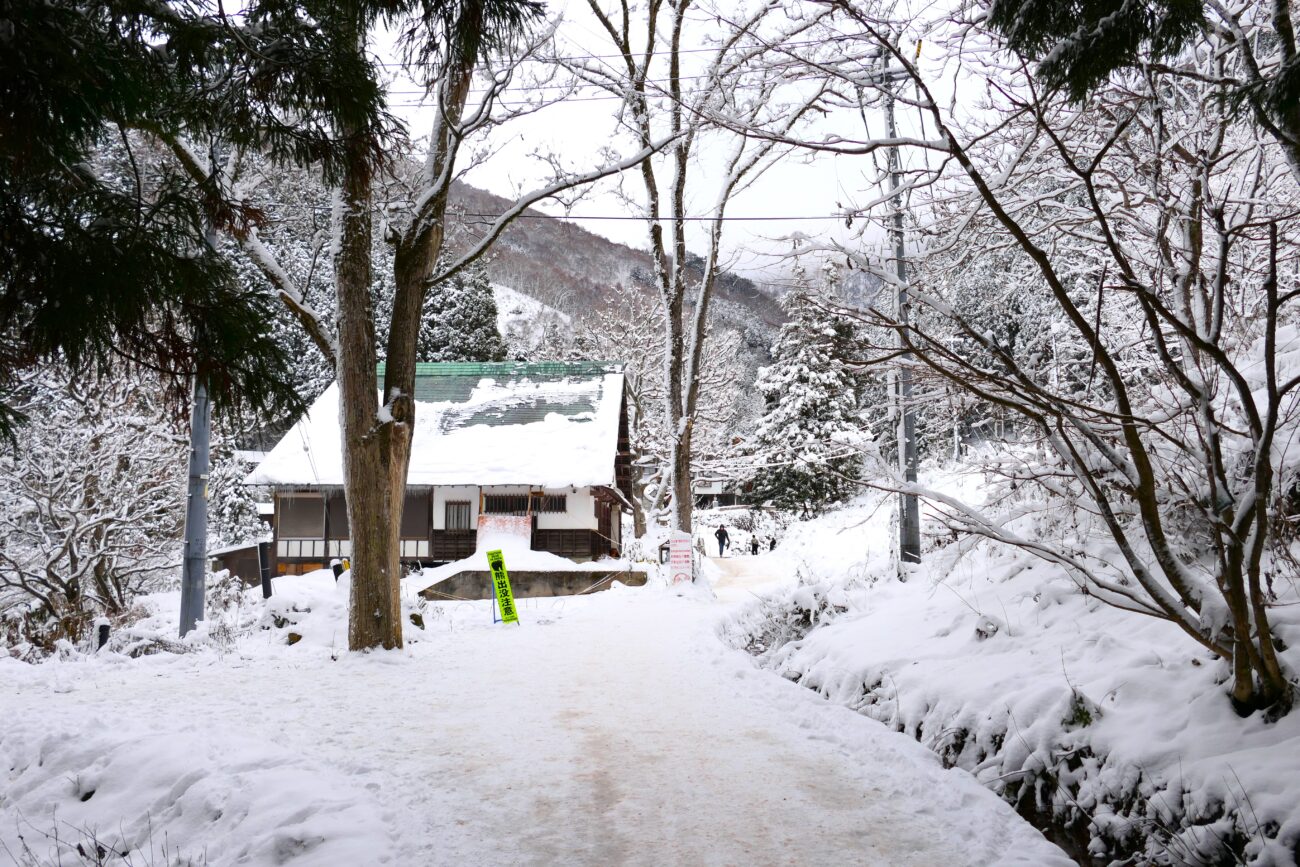 地獄谷野猿公苑 jigokudani-yaen-koen 噴泉