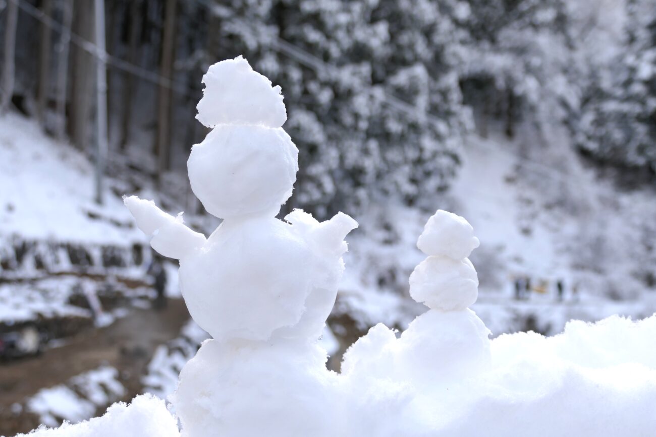地獄谷野猿公苑 jigokudani-yaen-koen 雪だるま