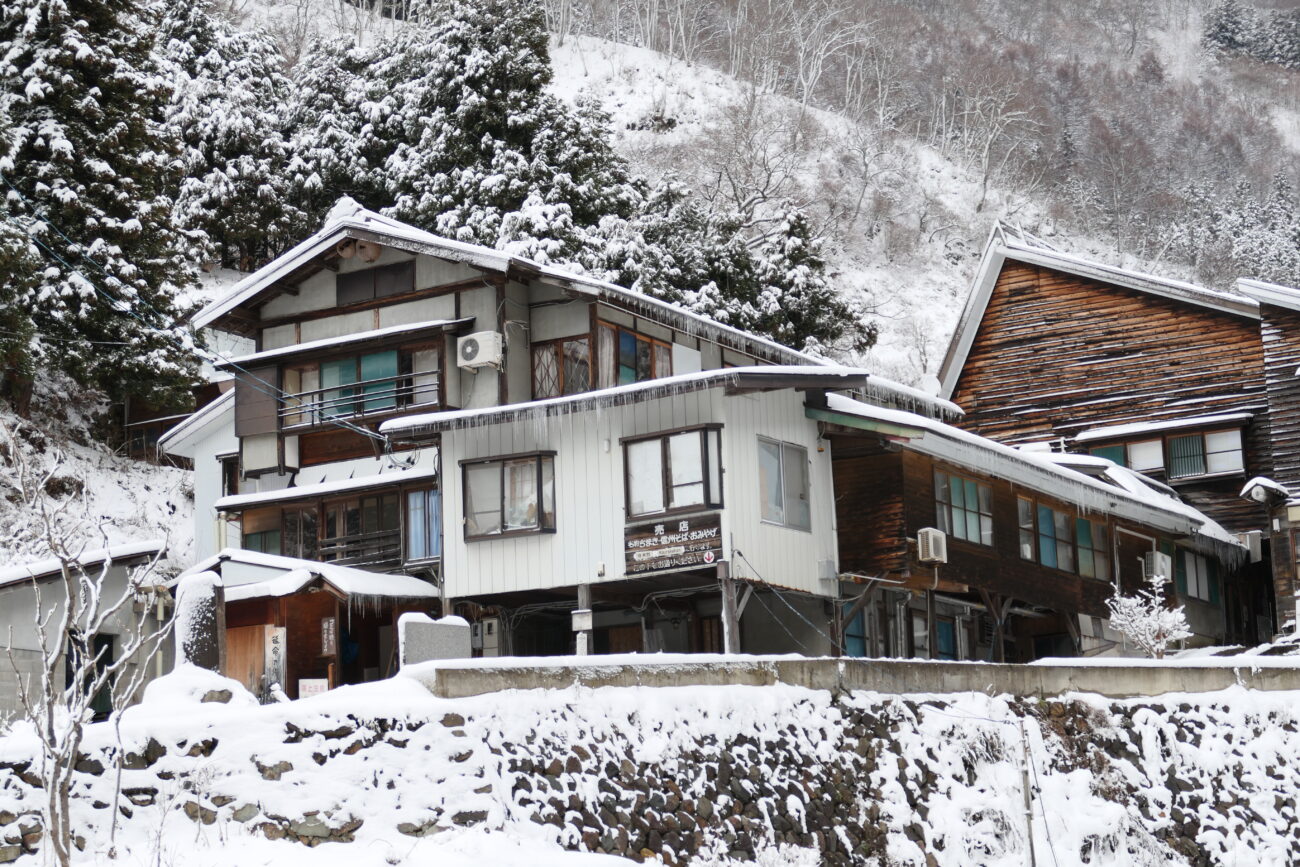地獄谷野猿公苑 jigokudani-yaen-koen 噴泉・後楽館