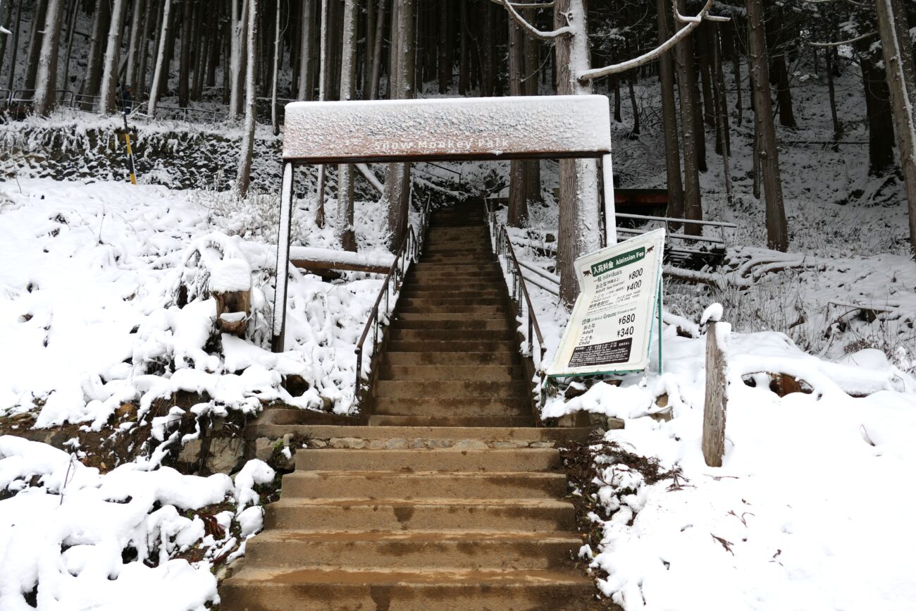 地獄谷野猿公苑 jigokudani-yaen-koen 噴泉・後楽館