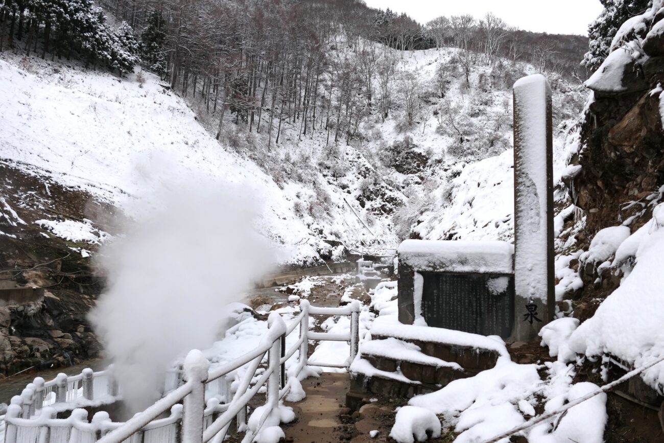 地獄谷野猿公苑 jigokudani-yaen-koen 噴泉・後楽館
