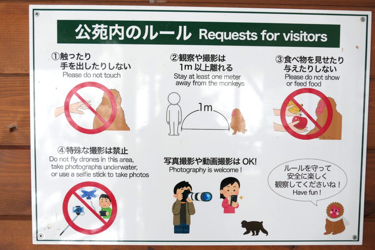 地獄谷野猿公苑 jigokudani-yaen-koen 注意事項