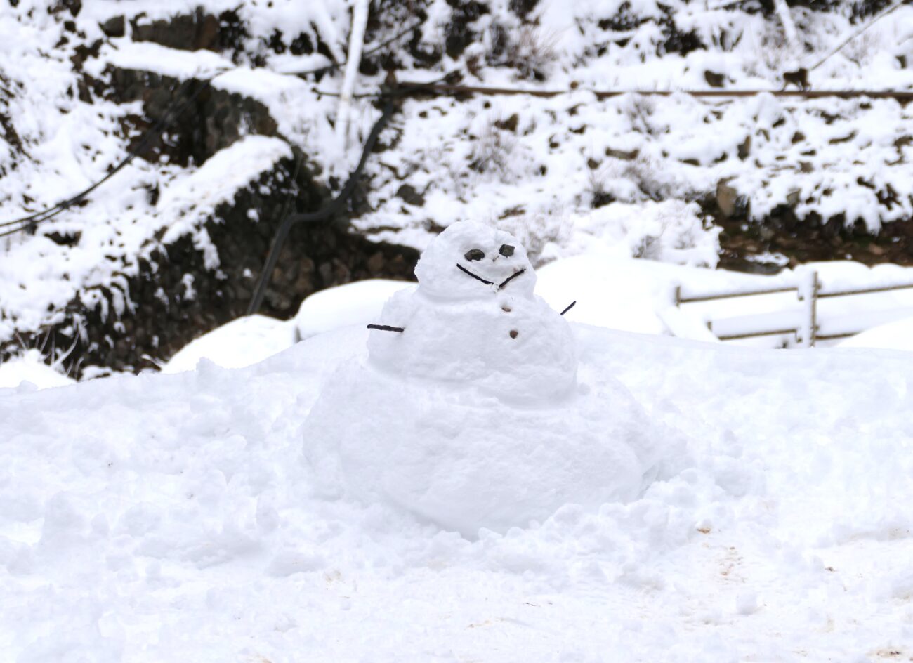 地獄谷野猿公苑 jigokudani-yaen-koen 雪だるま