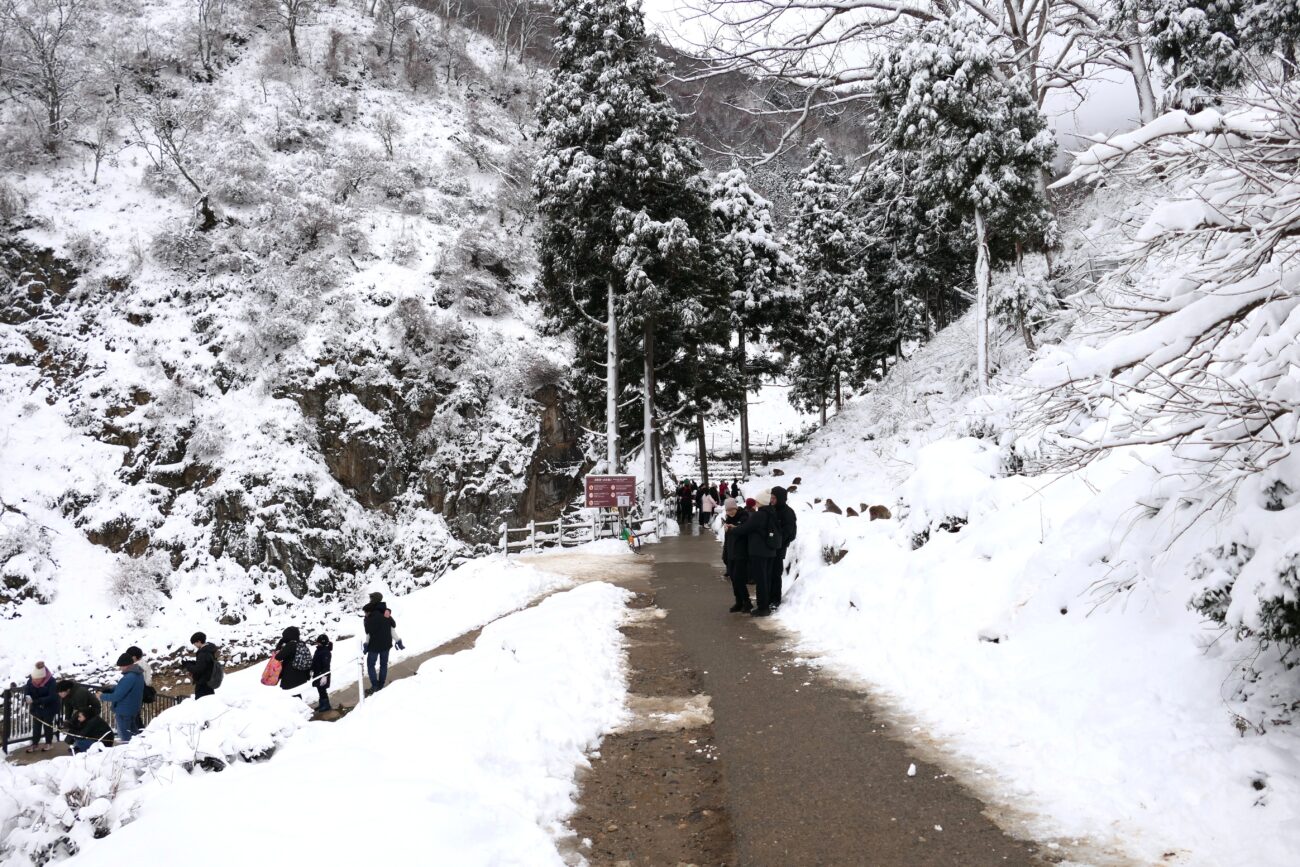 地獄谷野猿公苑 jigokudani-yaen-koen 苑内