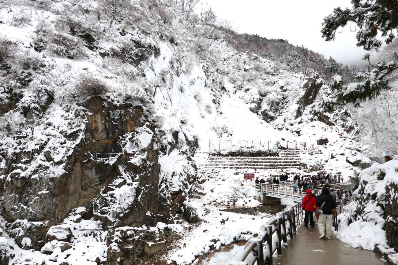 地獄谷野猿公苑 jigokudani-yaen-koen 苑内