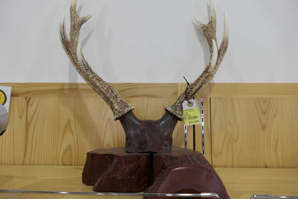 道の駅あおき 農産物直売所の鹿の角