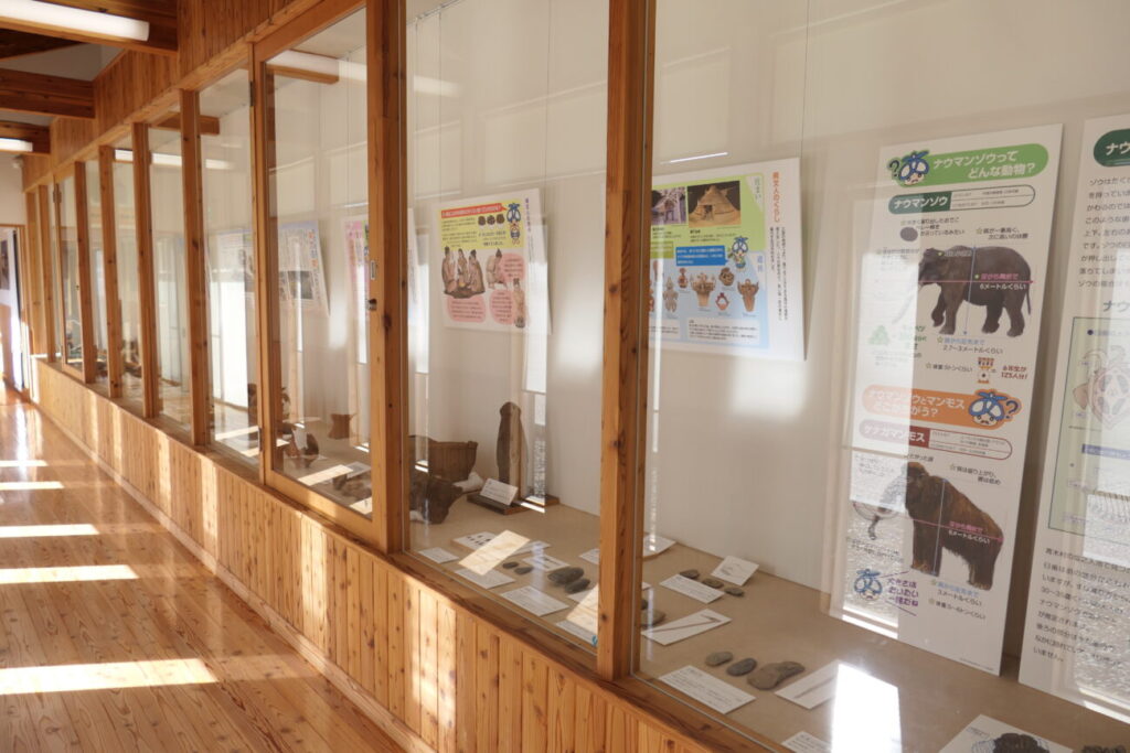 五島慶太未来創造館 古代遺跡資料室