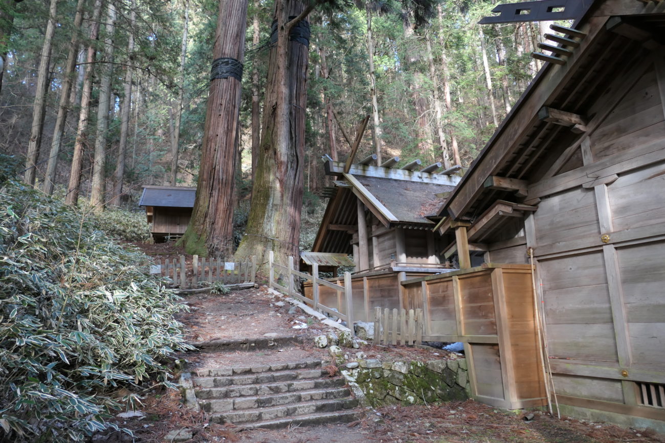 大町市 仁科神明宮 仮宮と杉