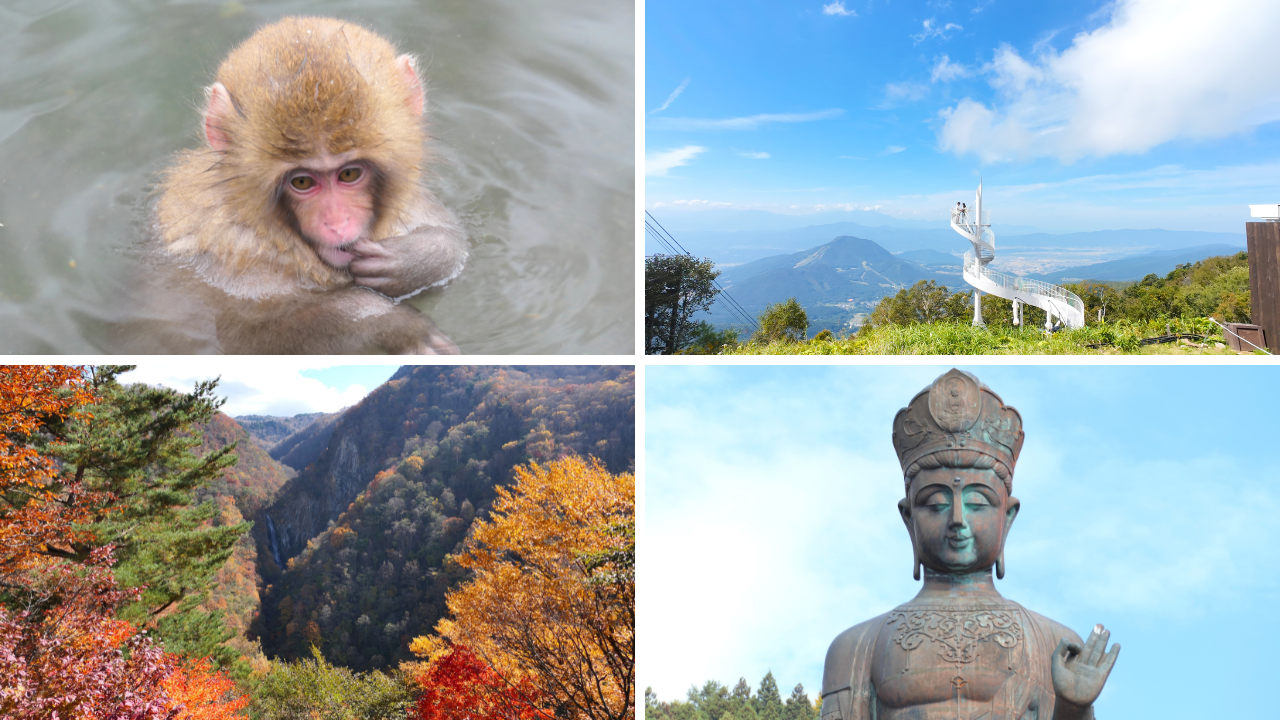 山ノ内町 おすすめ観光スポットまとめサムネイル