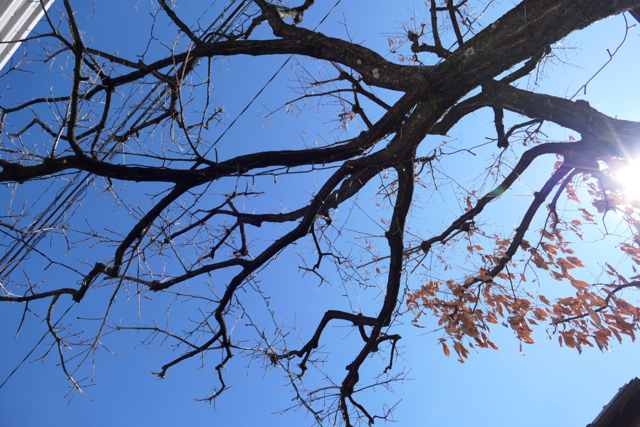 なわて通りの空