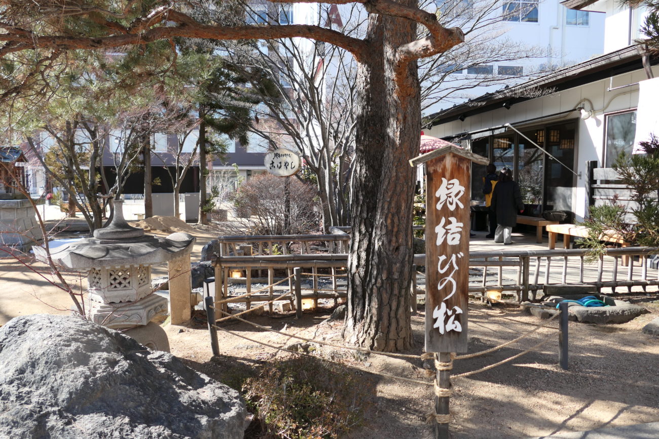 四柱神社　縁結びの松