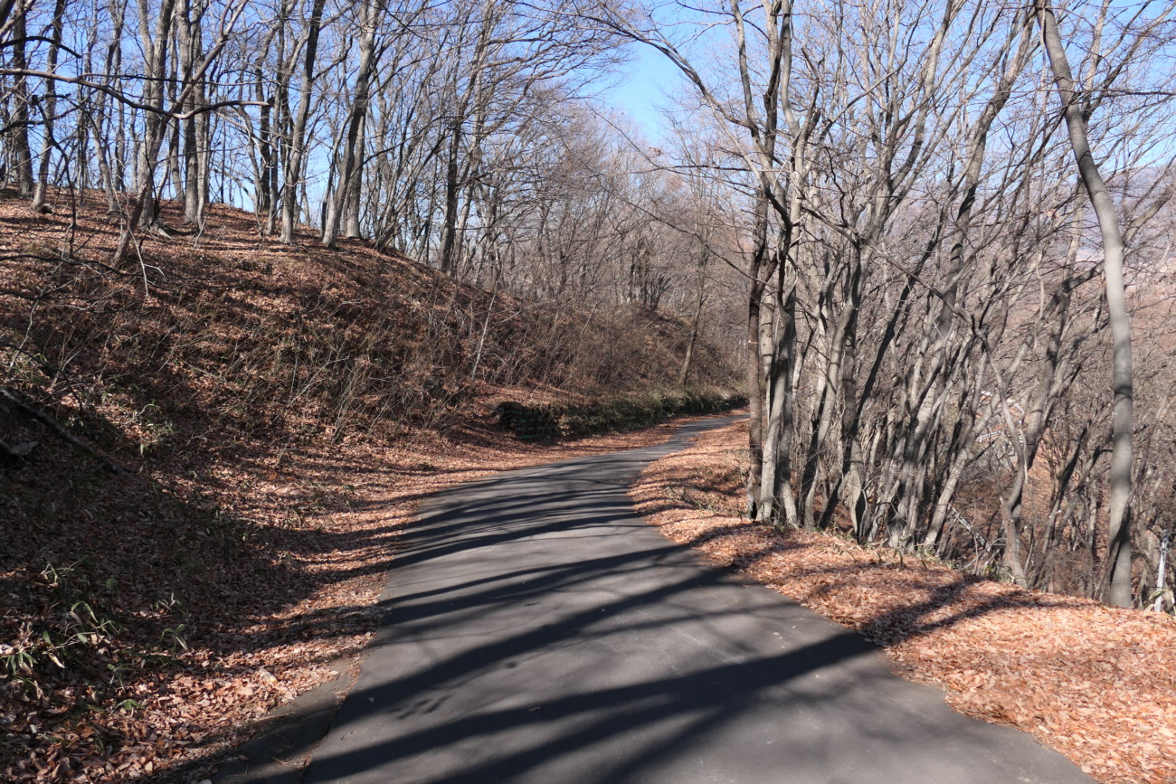 布引観音釈尊寺 檀家さん用の道
