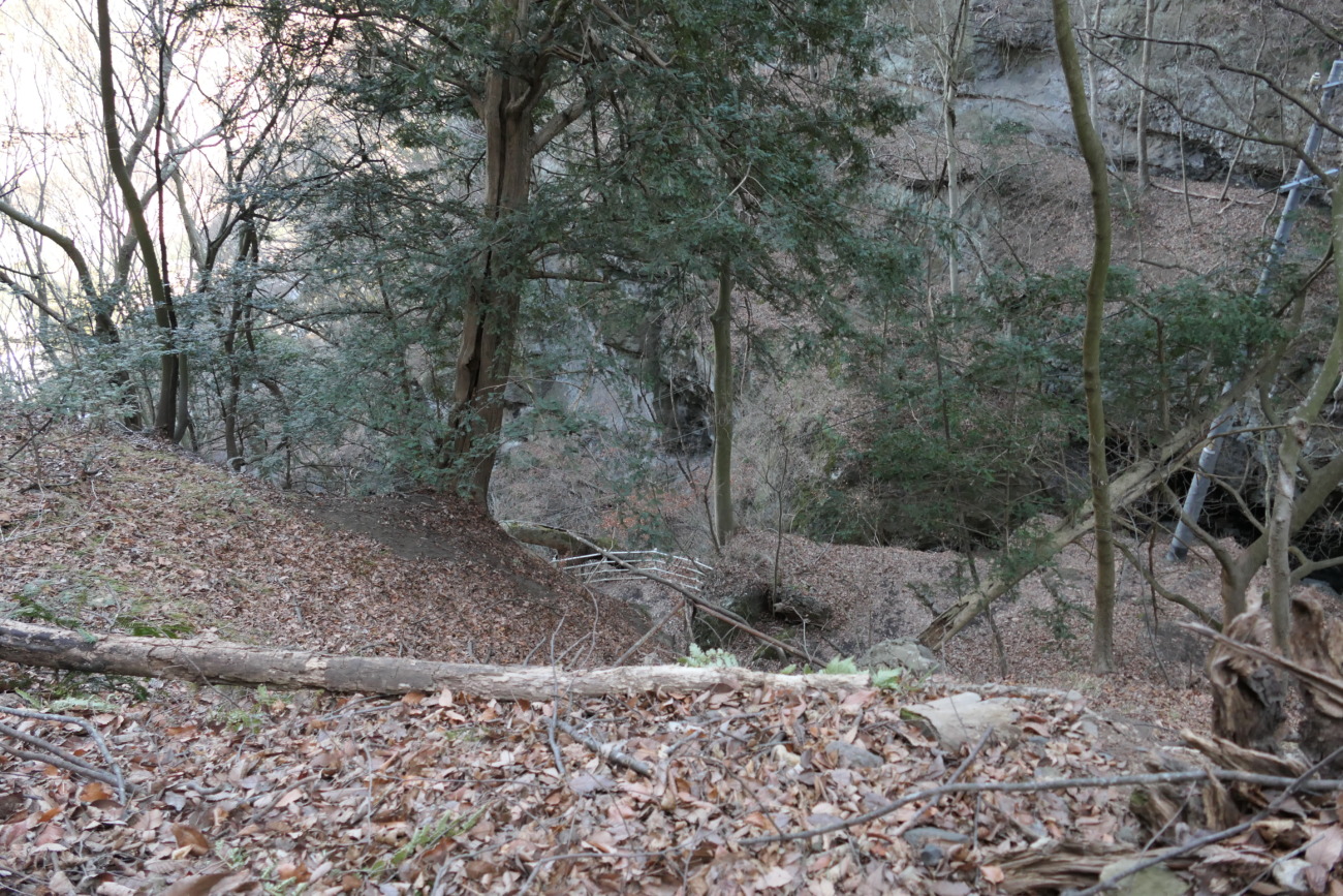 布引観音釈尊寺の道にある崖