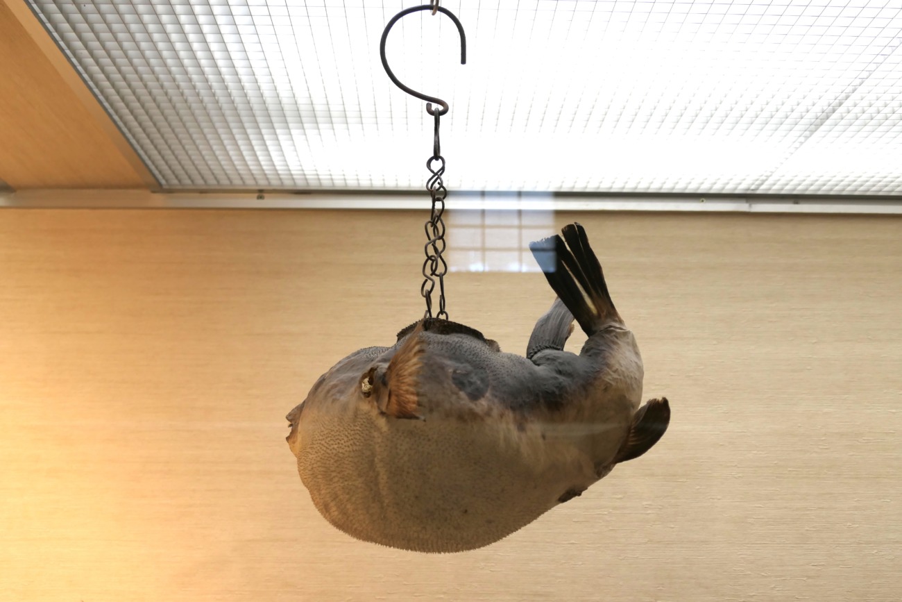 日本のあかり博物館のフグ提灯